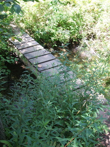 Appalachian Trail Appalachian Trail