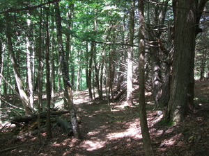 Appalachian Trail Appalachian Trail