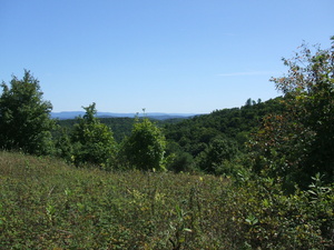 Appalachian Trail Meadow Appalachian Trail Meadow
