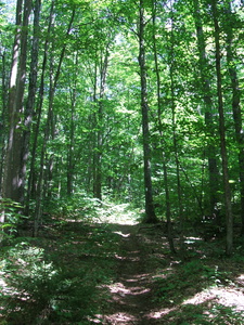Appalachian Trail Appalachian Trail