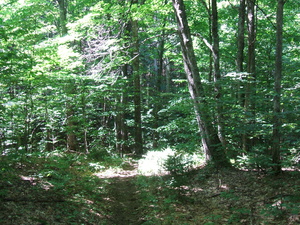 Appalachian Trail Appalachian Trail