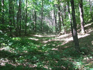 Appalachian Trail Appalachian Trail