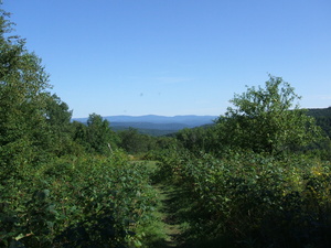 Appalachian Trail Appalachian Trail
