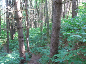 Appalachian Trail Appalachian Trail