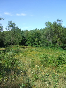 Appalachian Trail Meadow Appalachian Trail Meadow