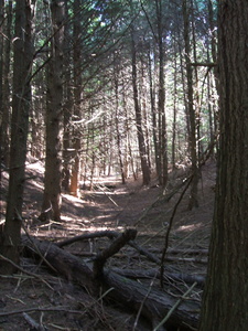 Appalachian Trail Appalachian Trail
