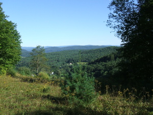 Appalachian Trail Appalachian Trail