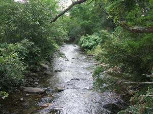 Appalachian Trail Appalachian Trail