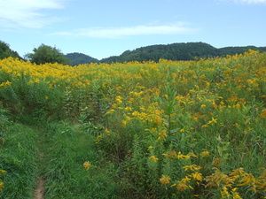 Appalachian Trail Appalachian Trail