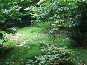 Appalachian Trail Appalachian Trail