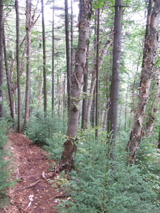 Appalachian Trail Appalachian Trail