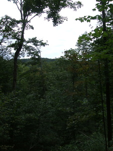 Appalachian Trail Appalachian Trail