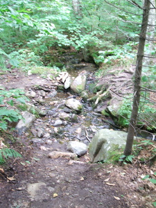 Appalachian Trail Sound Recording Appalachian Trail Sound Recording