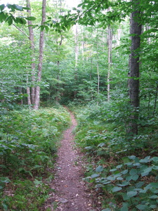 Appalachian Trail Appalachian Trail