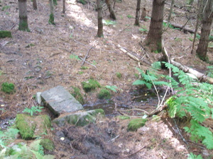 Appalachian Trail Appalachian Trail
