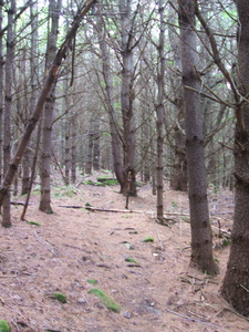 Appalachian Trail Appalachian Trail