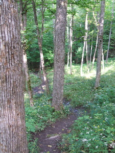 Appalachian Trail Appalachian Trail
