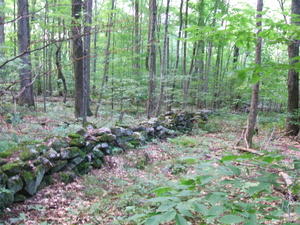 Appalachian Trail Stone Wall Appalachian Trail Stone Wall