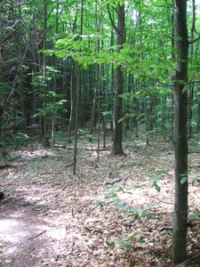 Appalachian Trail Appalachian Trail