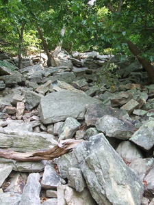 Appalachian Trail Rocks Appalachian Trail Rocks