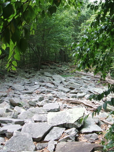 Appalachian Trail Rocks Appalachian Trail Rocks