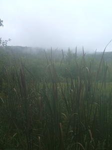 Appalachian Trail Meadow Appalachian Trail Meadow