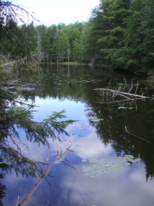 Appalachian Trail Appalachian Trail
