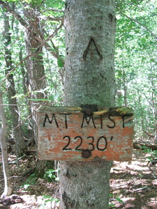 Appalachian Trail Mount Mist Sign, Elevation 2230 feet Appalachian Trail Mount Mist Sign, Elevation 2230 feet