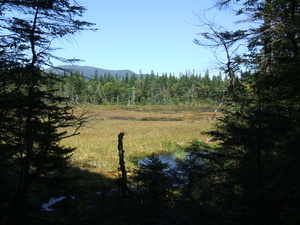 Appalachian Trail Meadow Appalachian Trail Meadow