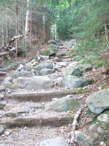 Appalachian Trail Steps Appalachian Trail Steps