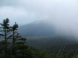 Appalachian Trail Fog Appalachian Trail Fog