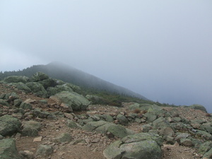 Appalachian Trail Fog Appalachian Trail Fog