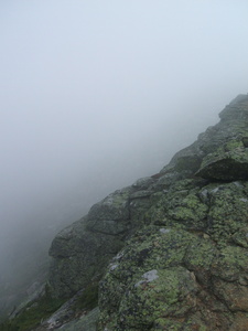 Appalachian Trail Fog Appalachian Trail Fog