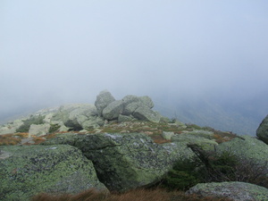 Appalachian Trail Fog Appalachian Trail Fog