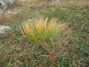 Appalachian Trail Appalachian Trail