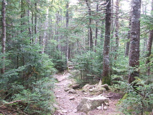 Appalachian Trail Appalachian Trail