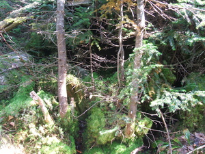 Appalachian Trail Appalachian Trail