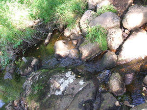 Appalachian Trail Sound Recording Appalachian Trail Sound Recording