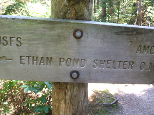 Appalachian Trail Ethan Pond Shelter, 0.1 miles Appalachian Trail Ethan Pond Shelter, 0.1 miles