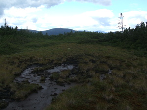 Appalachian Trail Appalachian Trail