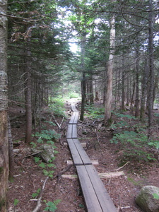 Appalachian Trail Appalachian Trail