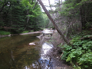 Appalachian Trail Appalachian Trail