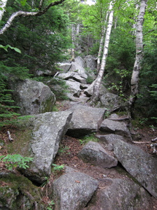 Appalachian Trail Appalachian Trail