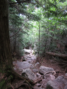 Appalachian Trail Appalachian Trail