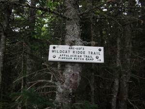 Appalachian Trail Wildcat Ridge Trail Appalachian Trail Wildcat Ridge Trail