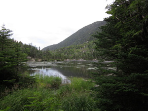 Appalachian Trail Appalachian Trail