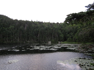 Appalachian Trail Appalachian Trail