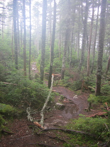 Appalachian Trail Appalachian Trail