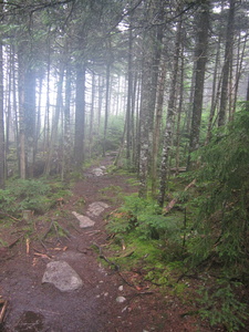 Appalachian Trail Appalachian Trail