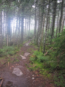Appalachian Trail Appalachian Trail